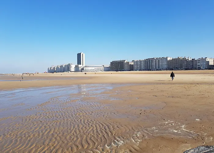 C- 호텔스 안드로메다 4*