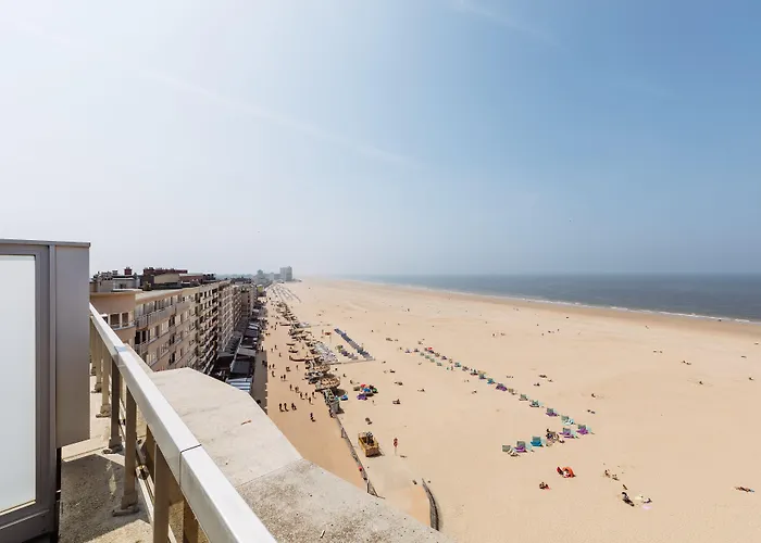 C- 호텔스 안드로메다 4*