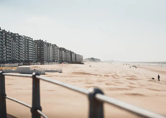 C- 호텔스 안드로메다