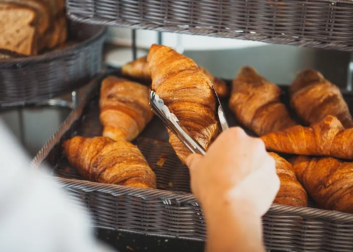 C- 호텔스 안드로메다