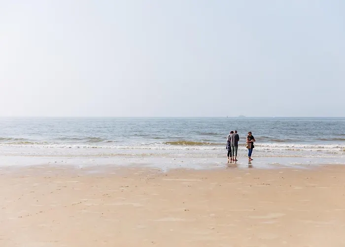 호텔 C- 호텔스 안드로메다